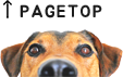 pagetop