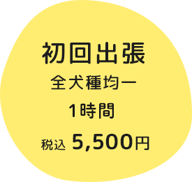 初回出張 全犬種均一