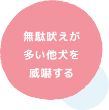 無駄吠えが多い他犬を 威嚇する